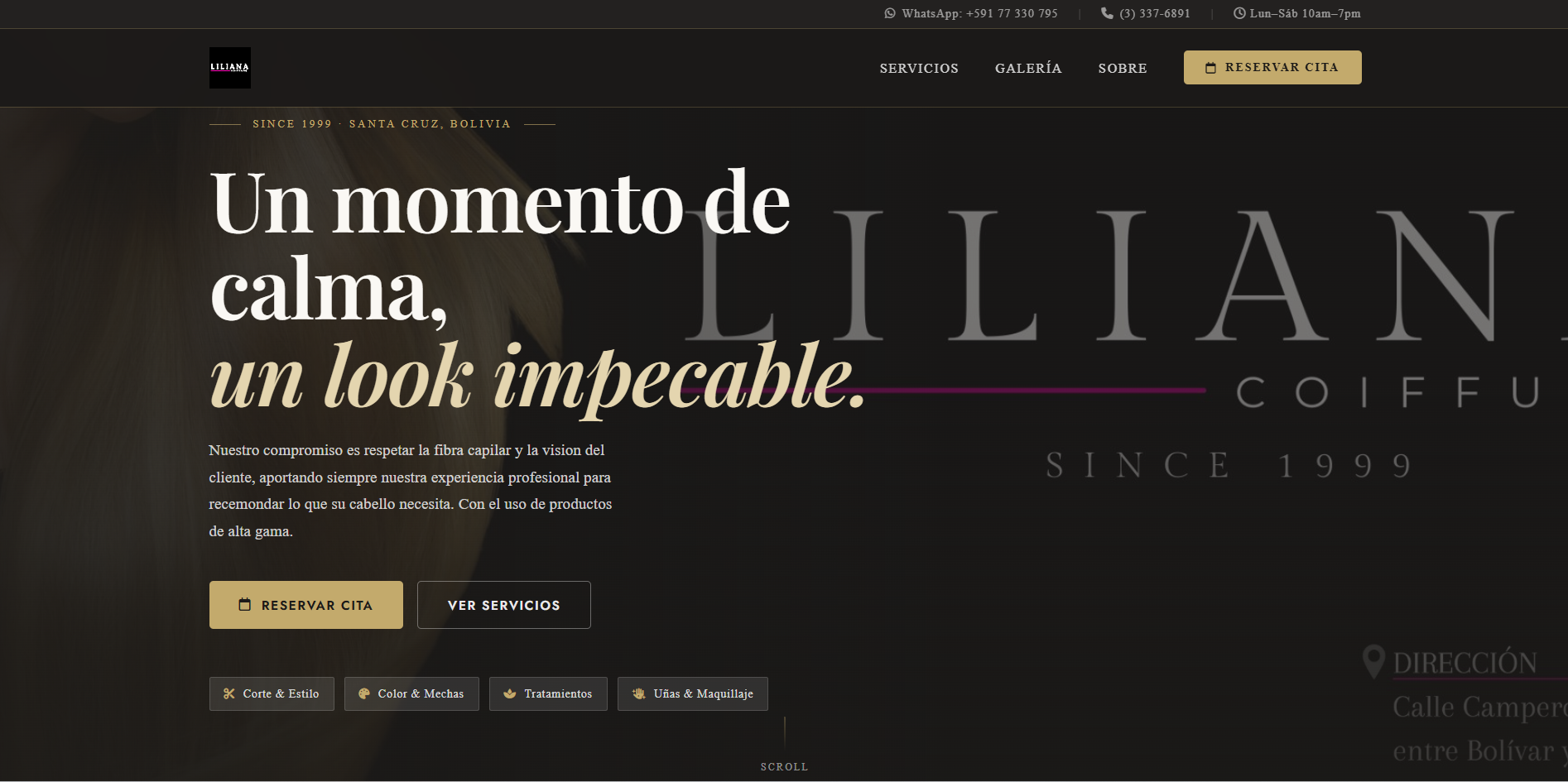 Bolivian Salon Gallery preview